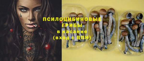 шишки Волосово