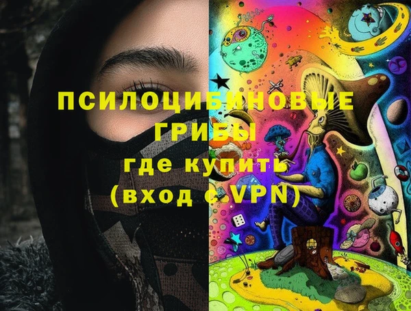 СК Волоколамск