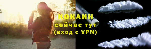 СК Волоколамск