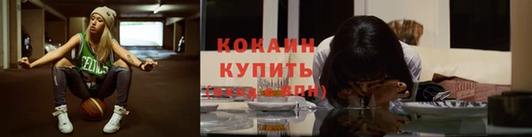 СК Волоколамск