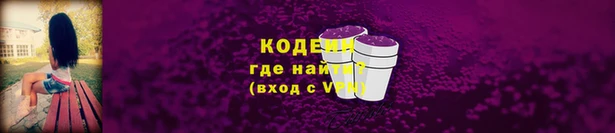 СК Волоколамск