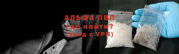 прущие грибы Строитель