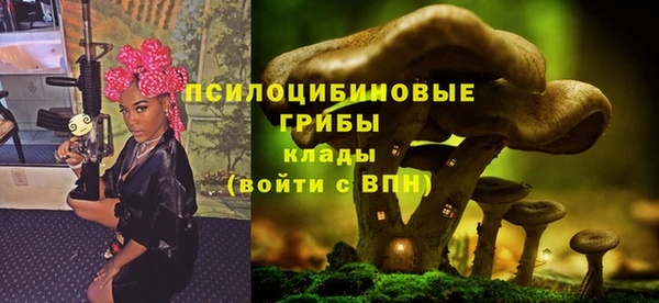 шишки Волосово