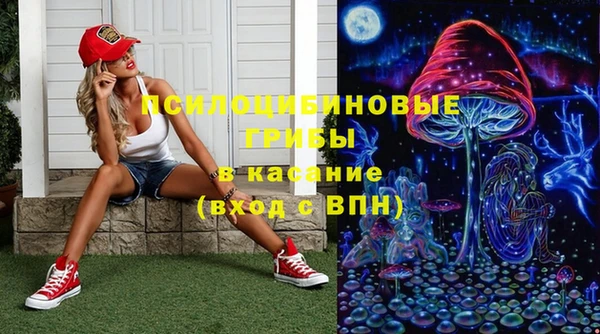 шишки Волосово