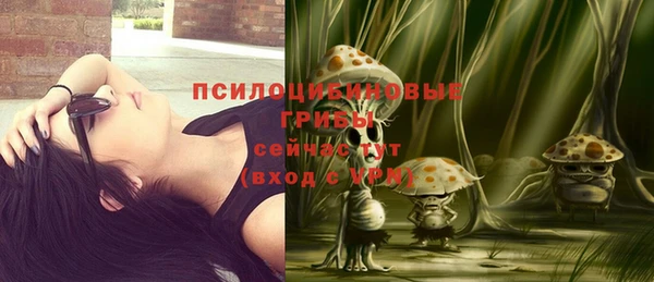 шишки Волосово