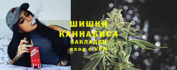 СК Волоколамск